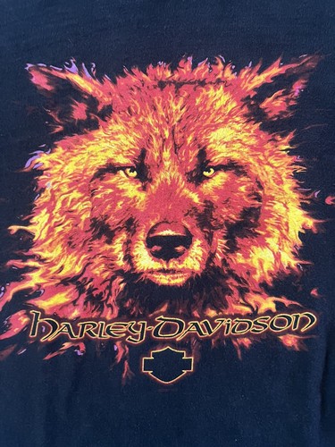 Vintage Harley Davidson T Shirt Blocker’s Parryville PA Short Sleeve Wolf Fire L - Picture 12 of 20