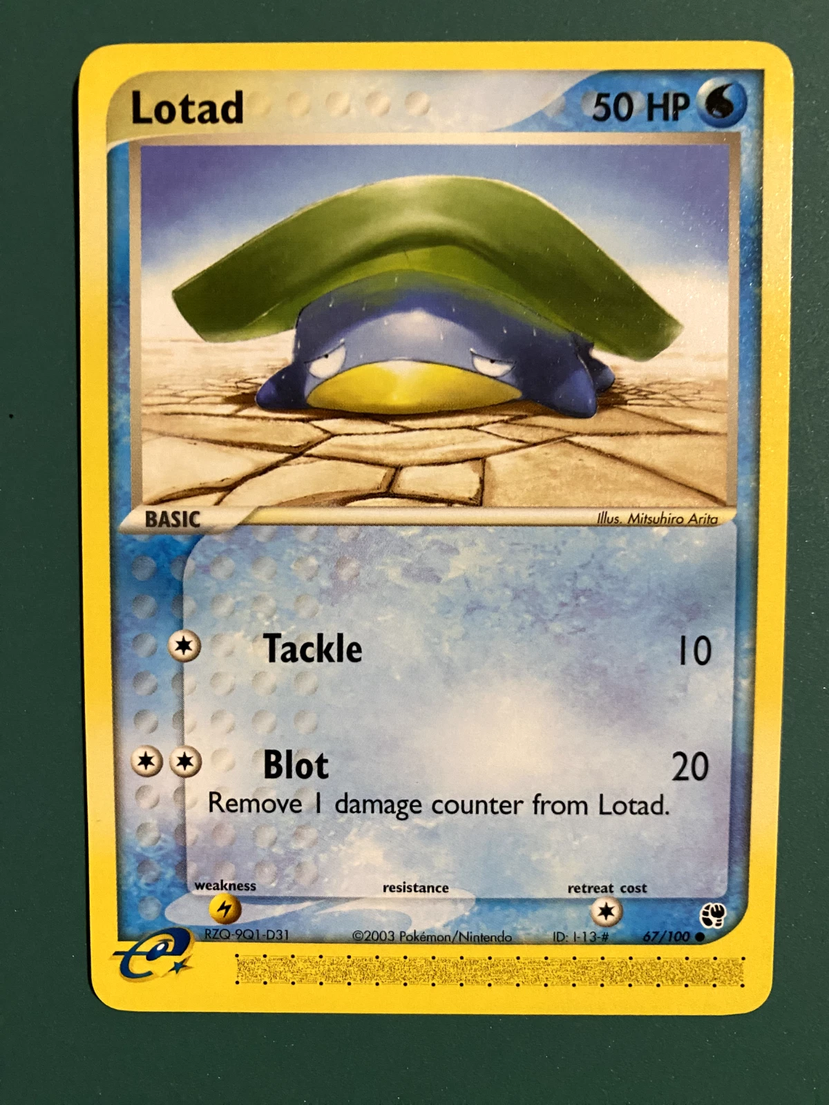 2004 POKEMON EX SANDSTORM 067/100 LOTAD - NEAR MINT