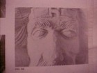 Bild 4 von 5