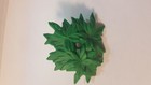 Bild 48 von 121