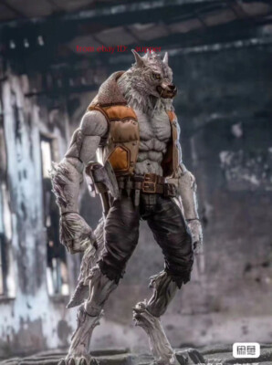 Maestro Union The Furay Planet Veteran Willam White Wolf