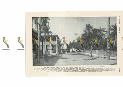 San Pedro Sula, Öffentliche Gärten, Honduras, Buchillustration, um 1920