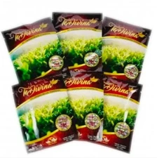 Te divina Original DETOX Tea 6 weeks Supply  Fast Shipping