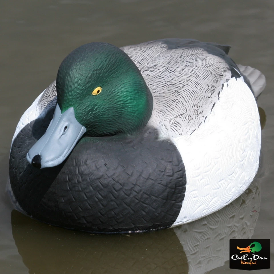 AVERY OUTDOORS GHG LIFE-SIZE BLUE-BILL DUCK DECOYS - 1/2 DOZEN - Image 3 of 4