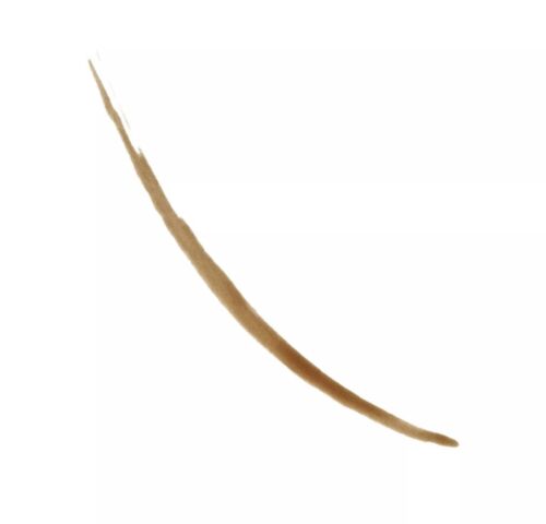 Revlon ColorStay Semi-Permanent Brow Ink - #350 Blonde Ink Eyebrow Makeup - Picture 6 of 11