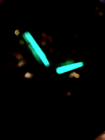 Bild 7 von 13