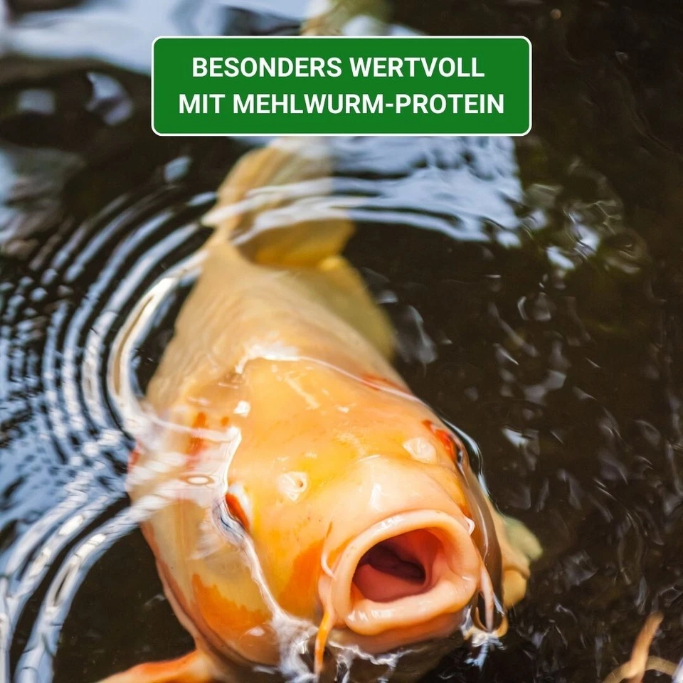 Koifutter 5kg - KENKOU Nr.1 Edition - 5-10mm Schwimmende Pellets für Koi - Bild 3 von 4