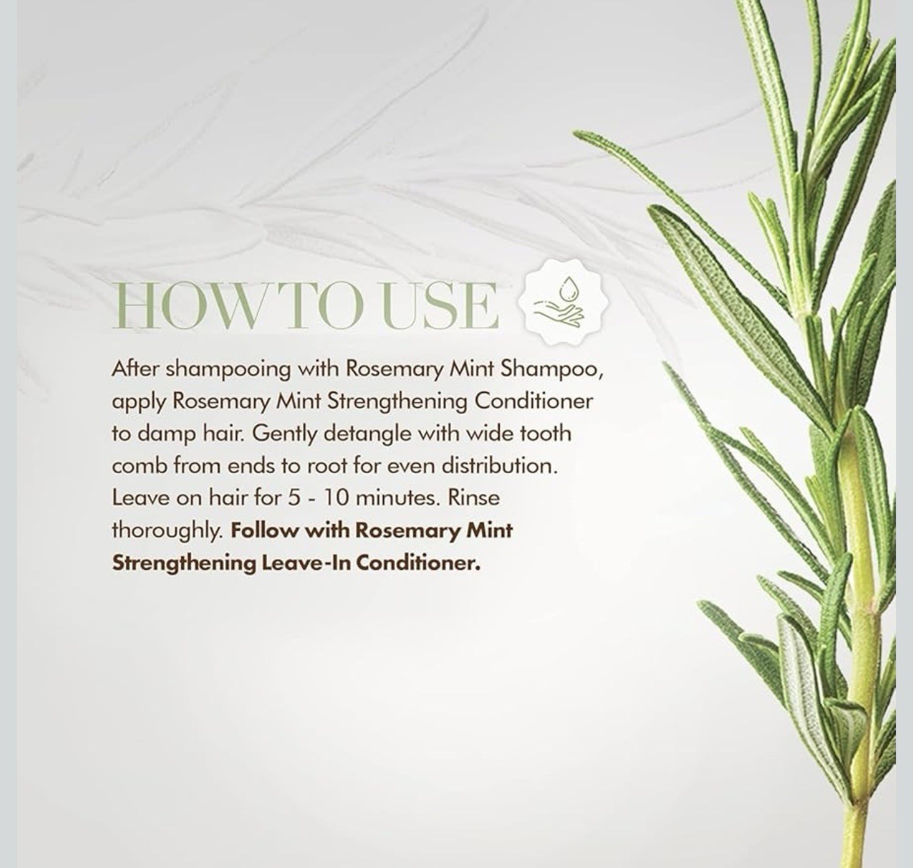 Mielle Organics Rosemary Mint Blend Strengthening Conditioner (2 Pack)