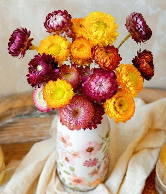 Natural Dried Straw Flower 20pcs, Natural Flowers Bouquet Daisies, Dried Dais...