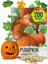 Connecticut Field Pumpkin  for Planting | 1 Ounce Cucurbita Pepo Heirloom Vegeta 259.04 per gallon