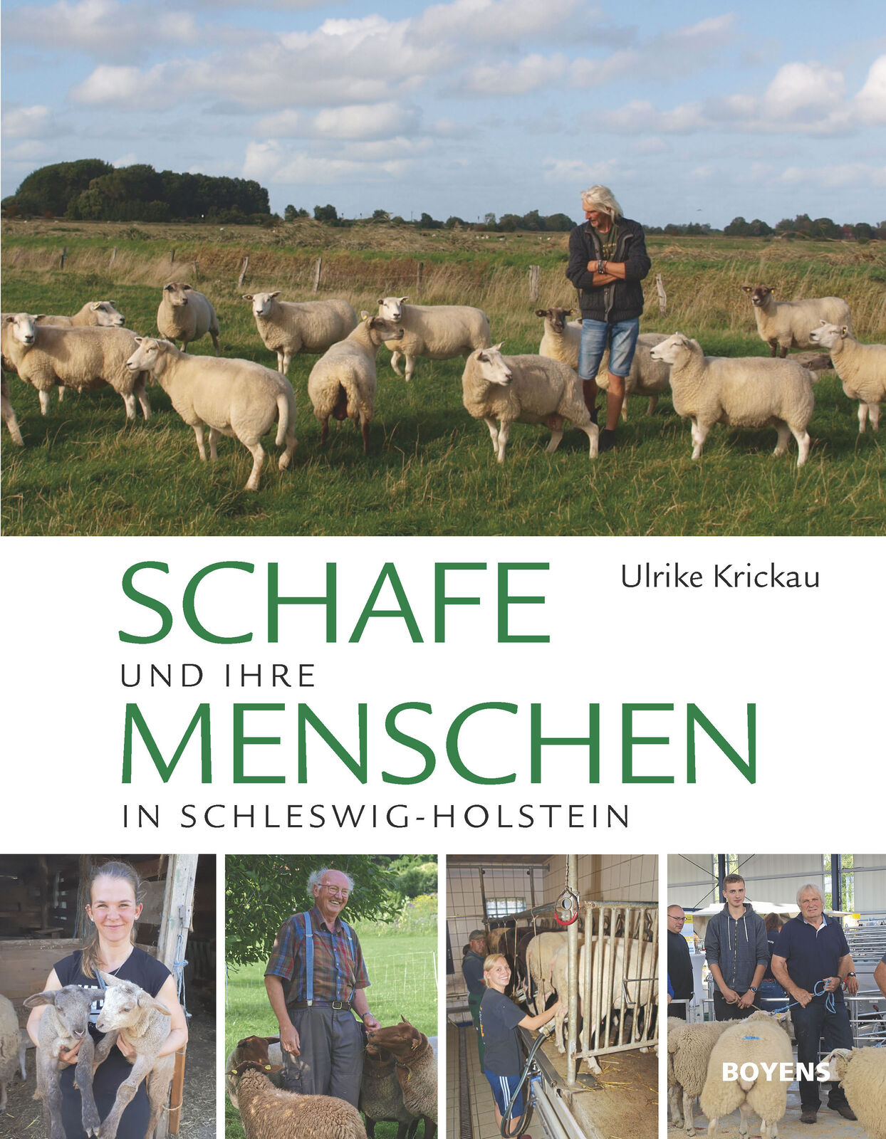 Thumbnail - Ulrike Krickau / Schafe