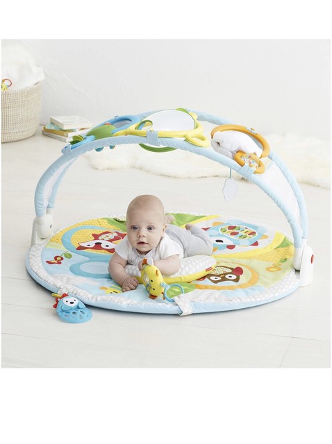skip hop explore & more amazing arch baby play mat activity gym