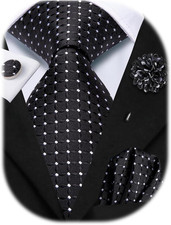 Mens Paisley Floral Striped Ties Set Silk Necktie and Lapel Pin for Men