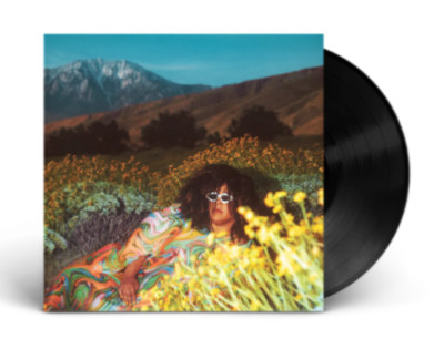 Brittany Howard - WHAT NOW LP Gatefold First Issue Sealed