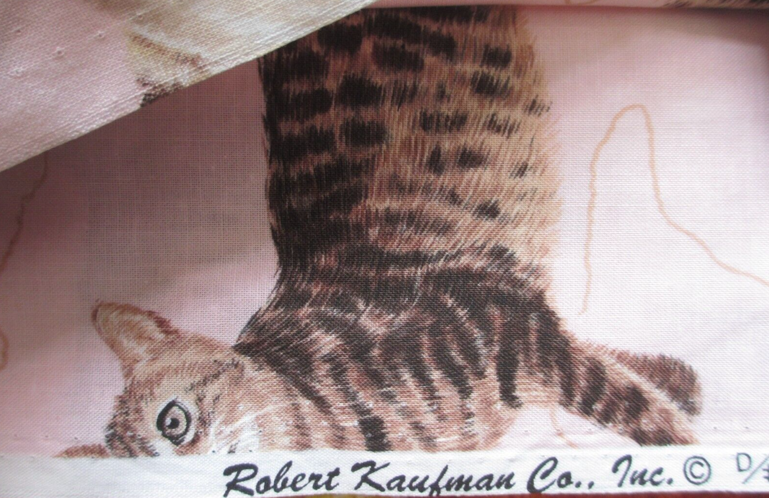 Picture 6 of 6