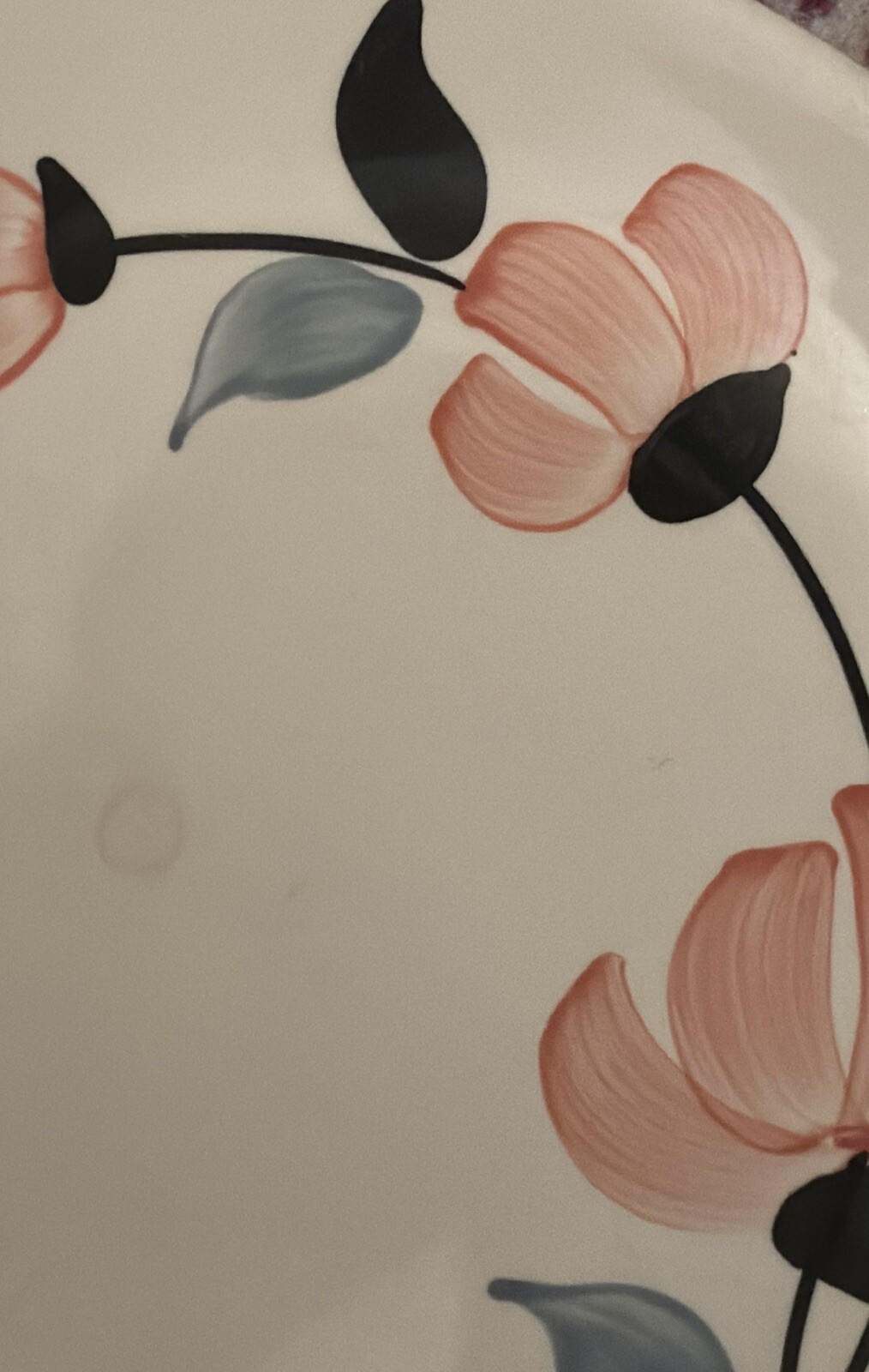Picture 4 of 6