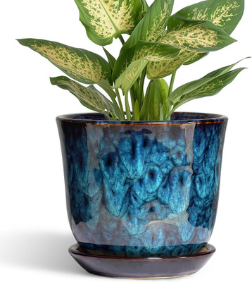 5.6 Inch Plant Pot - Ceramic Pots for Plants with Drainage Hole and Saucer, roun