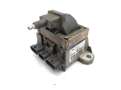 7700732263 ZÜNDSPULE / SIEMENS / 7700852093, S102020001D / 206693 FÜR RENAULT CL