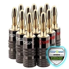 Dual Screw Audio 24K Gold Plated 12x Speaker Wire 4mm Banana Plug Jack Connector