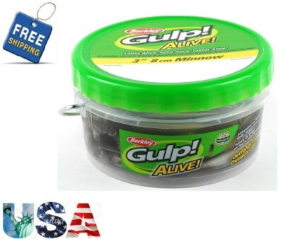 Berkley Gulp! Alive! Minnow, Black Shad, 4-Inch (12 oz) Freshwater