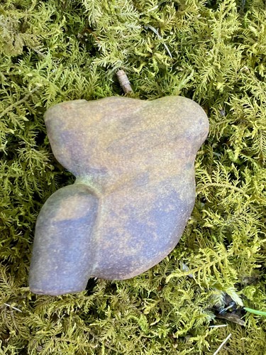 Fossil • Fossil Rock from Mohican River Ohio Decorative - Picture 3 of 6