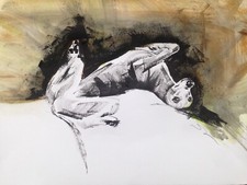 Original signed Ink sketch of a Whippet Greyhound Lurcher A3