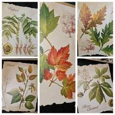 7 Full 5 Yard Rolls Of Prepasted Vinyl Border