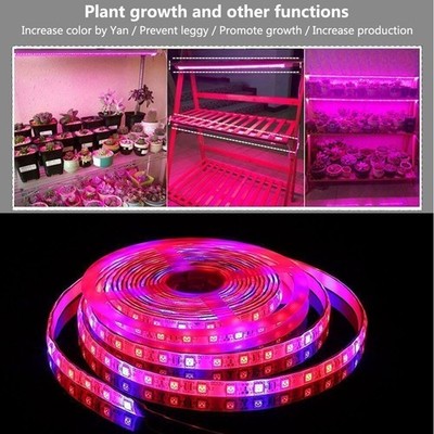 5m LED Streifen Wachsenlicht Voll Spektrum LED Blume Pflanzenlamp Phyto Wachstum