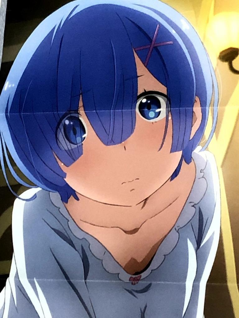Re:Zero Starting Life in Another World REM Long Posters Set