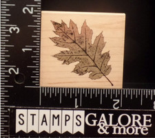 Hero Arts Rubber Stamps E2242 OACK PRINT TREE LEAVES LEAF POETIC PRINTS 3122