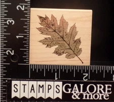 Hero Arts Rubber Stamps E2242 OACK PRINT TREE LEAVES LEAF POETIC PRINTS #3122