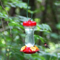 Perky-pet 68 23-inch Metal Hook For Bird Feeders , New, Free Shipping on sale Perky-pet 68 23-inch Metal Hook For Bird Feeders , New, Free Shipping on sale