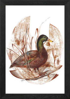 Duck in Nature Drawing Framed Wall Art Poster Canvas Print Picture