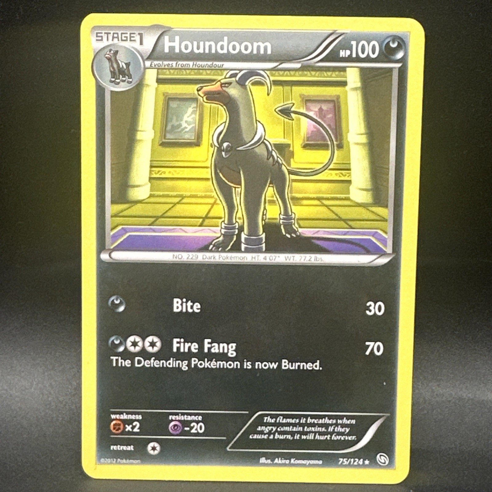 Pokemon Card - Houndoom - Regular Rare (75/124) BW Dragons Exalted