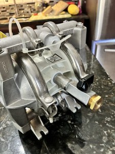 Wilden P1 Pump AAPPP/TNU/ATF
