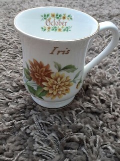 Berkshire China October Mug/Cup