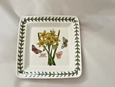 Portmeirion Botanic Garden square dish Narcissus Minimus daffodils 6 1/2''