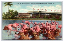 Postcard: FL Hialeah Race Course, Flamingos & Nests, Miami, Florida - Unposted