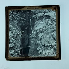 Vintage GWW Magic Lantern Glass Slide Beld Craig Linn Free Aus Post (4)