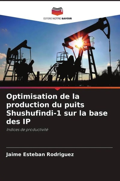 Jaime Esteban Rodriguez | Optimisation De La Production Du Puits...-image