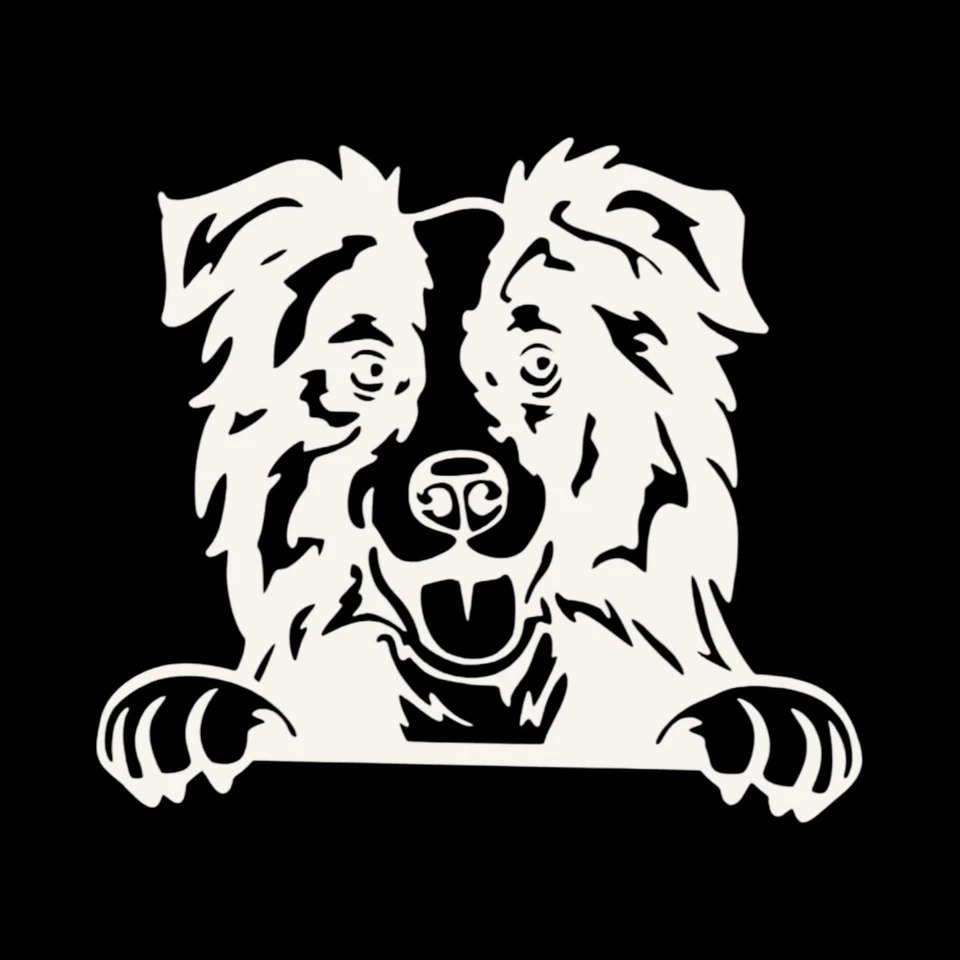 Calcomanía de vinilo BORDER COLLIE - Pegatina para parachoques ventana de pared Jeep coche camión Foto 3 de 4