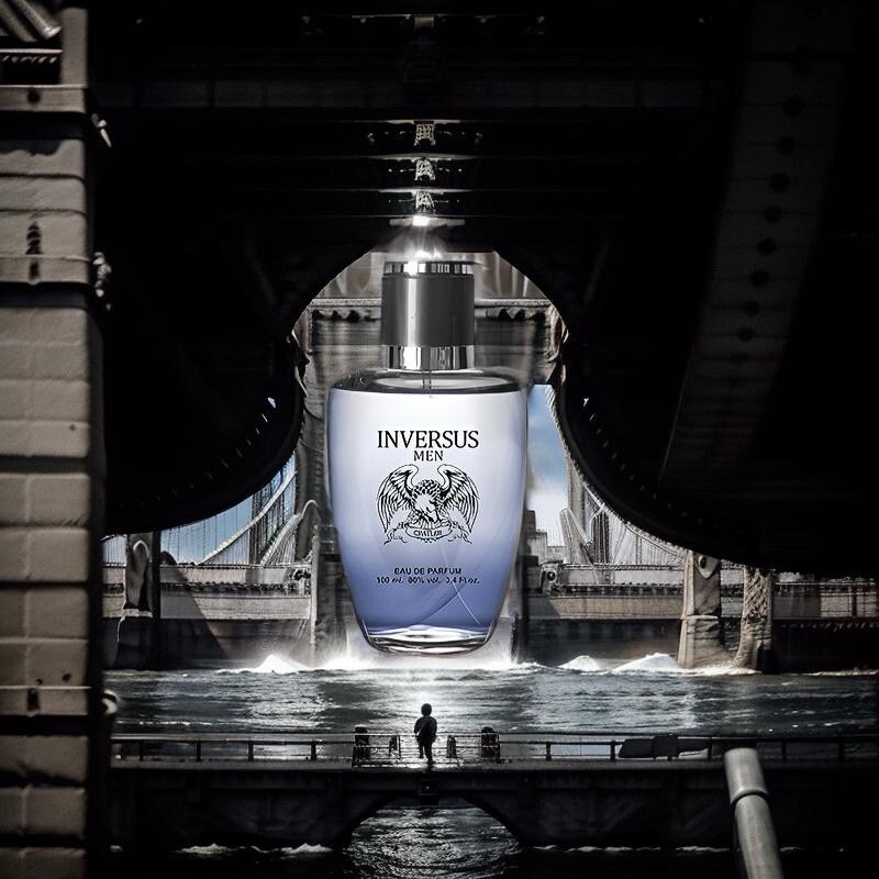 Chatler Inversus Men Eau De Parfum 100ml Spray Aftershave Like Paco Invictus eBay