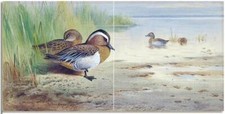 Tile Mural Drake and Duck Amongst Rushes Kitchen Wall Backsplash Marble Ceramic