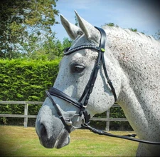 RHINEGOLD TOP GERMAN CRYSTAL BLING Curve U BRIDLE Comfort Padded MONOCrown FLASH