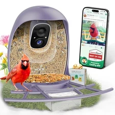  Smart Bird Feeder with Camera, AI Identify Birds & Auto Capture, 2K HD Purple