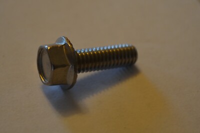 5/16 x 18 x 1 Hex Head Bolt, Serrated, Flanged, Stainless Steel, Qty. 25