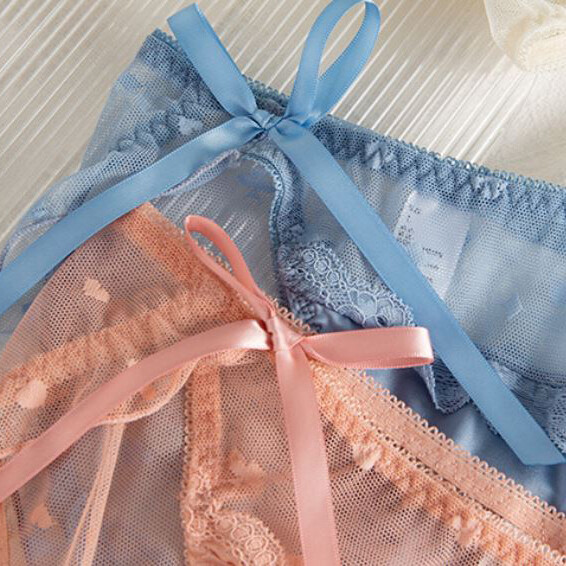 Women's Satin & Lace High-Waisted Panties Multipack - Cheekster Style, 5 Colors