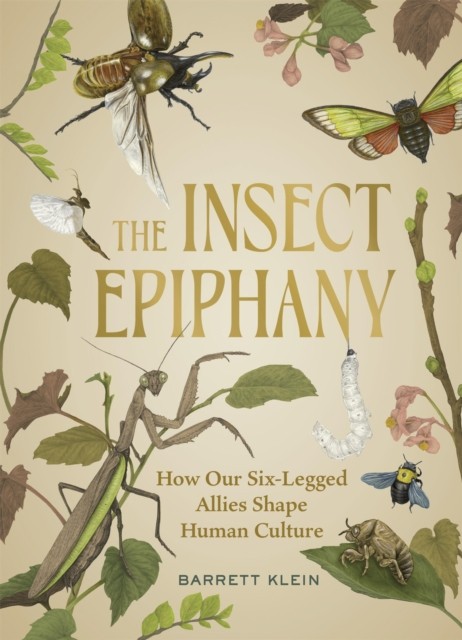 Insect Epiphany