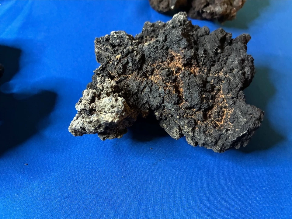 Terrario de piedra de lava para acuario 5 piezas 6 libras Foto 3 de 4