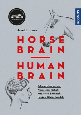 Horse Brain, Human Brain Erkenntnisse aus der Neurowissenschaft - Wie Pferd u...
